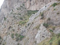 Mallorca 220